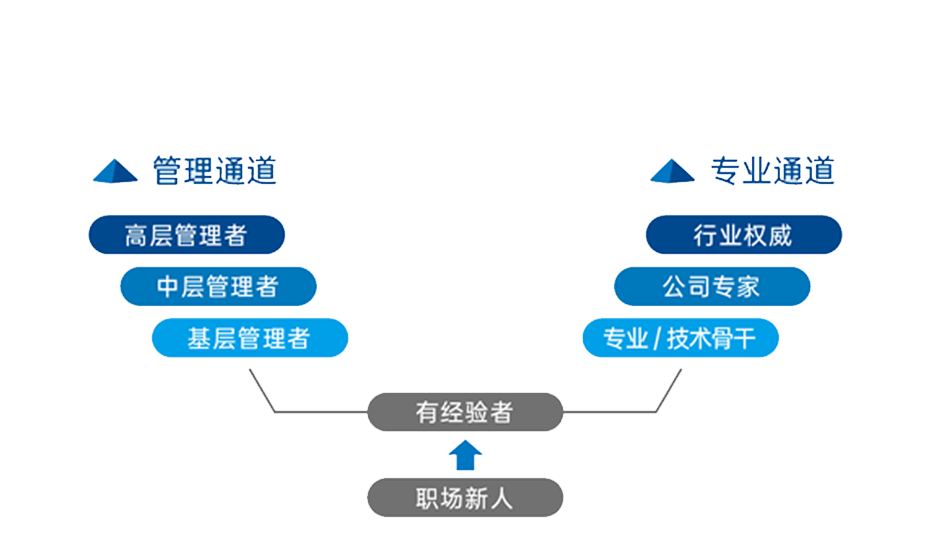 尊龙凯时·[中国区]人生就是搏!